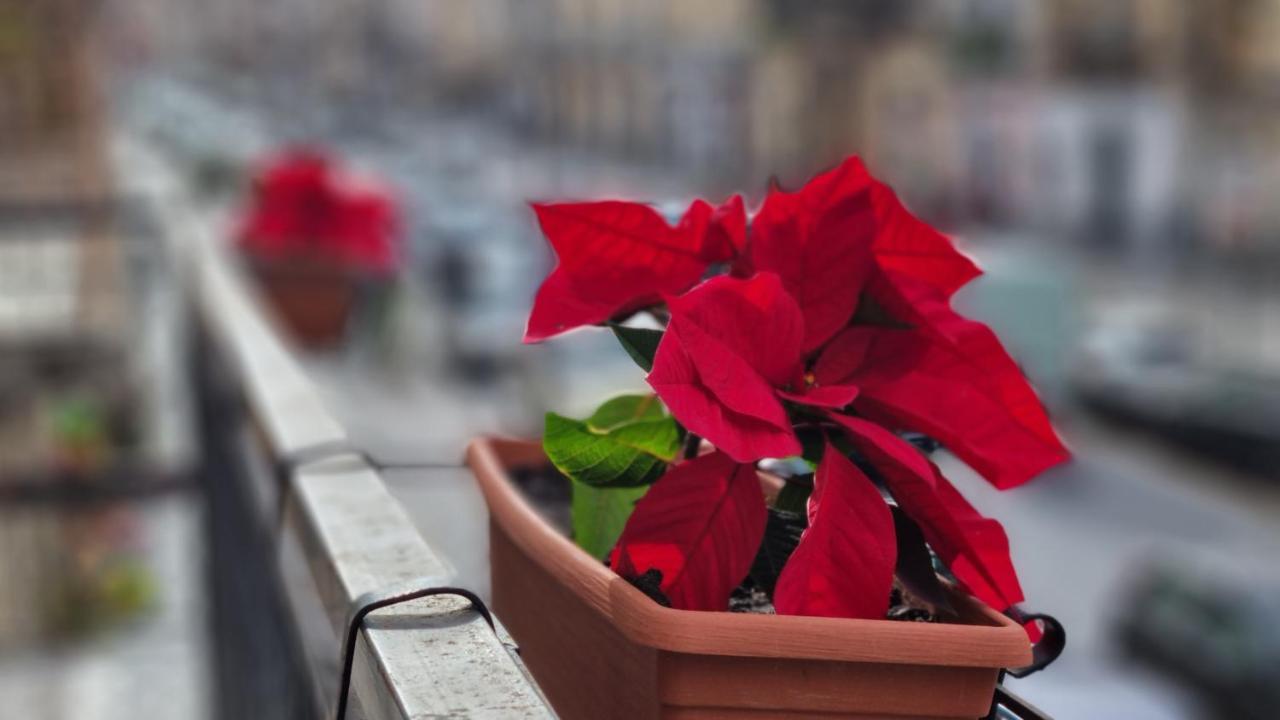 Giulia * Giarre